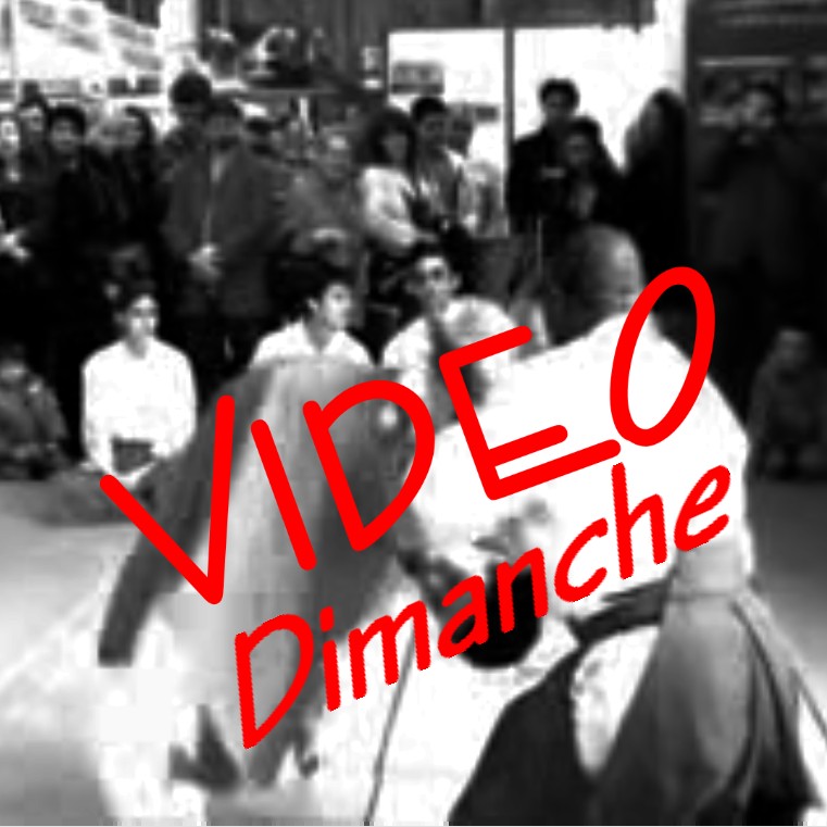 100509 Vignette pour site Vidéo dimanche démo de foire expo Limoges.jpg - 101,38 kB