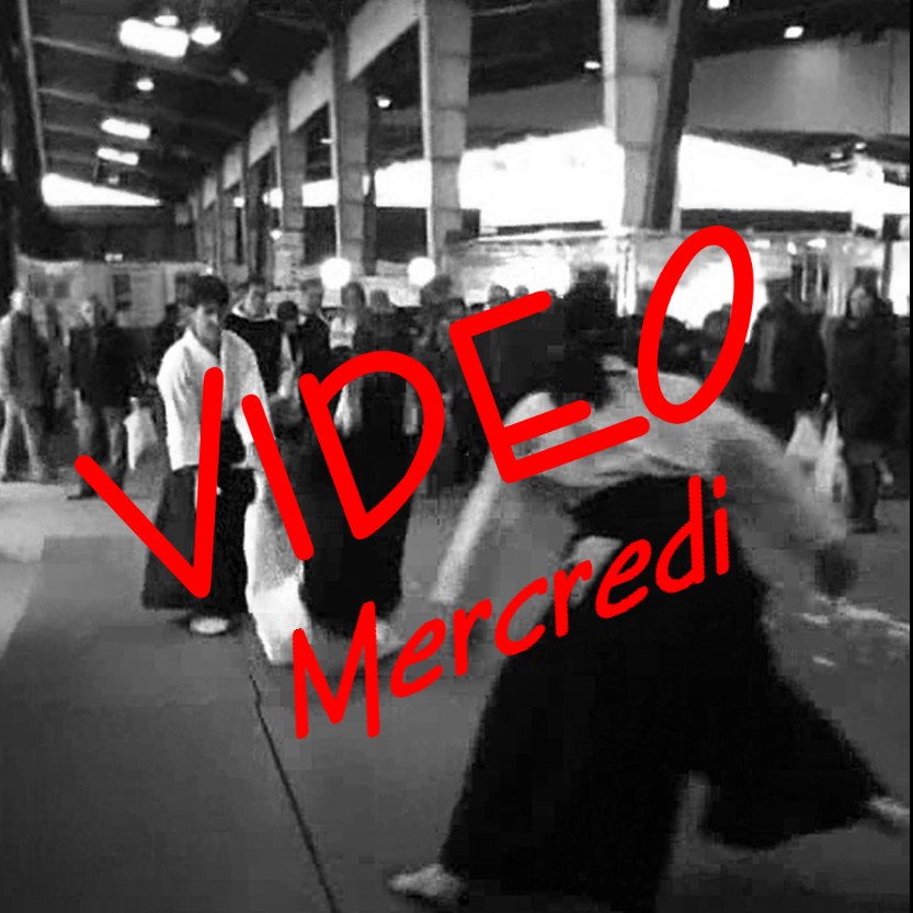 100509 Vignette pour site Vidéo mercredi démo de foire expo Limoges.jpg - 128,82 kB